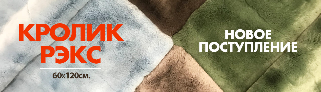 кролик рекс